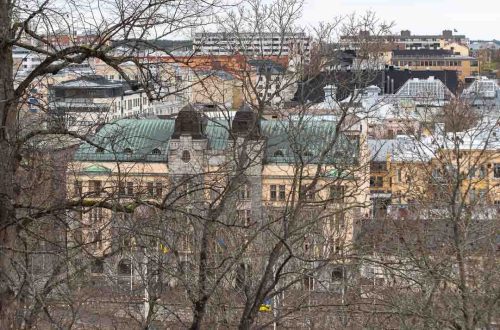 Kuvassa on Turun keskustan taloja lehdettömien puiden välistä katsottuna.