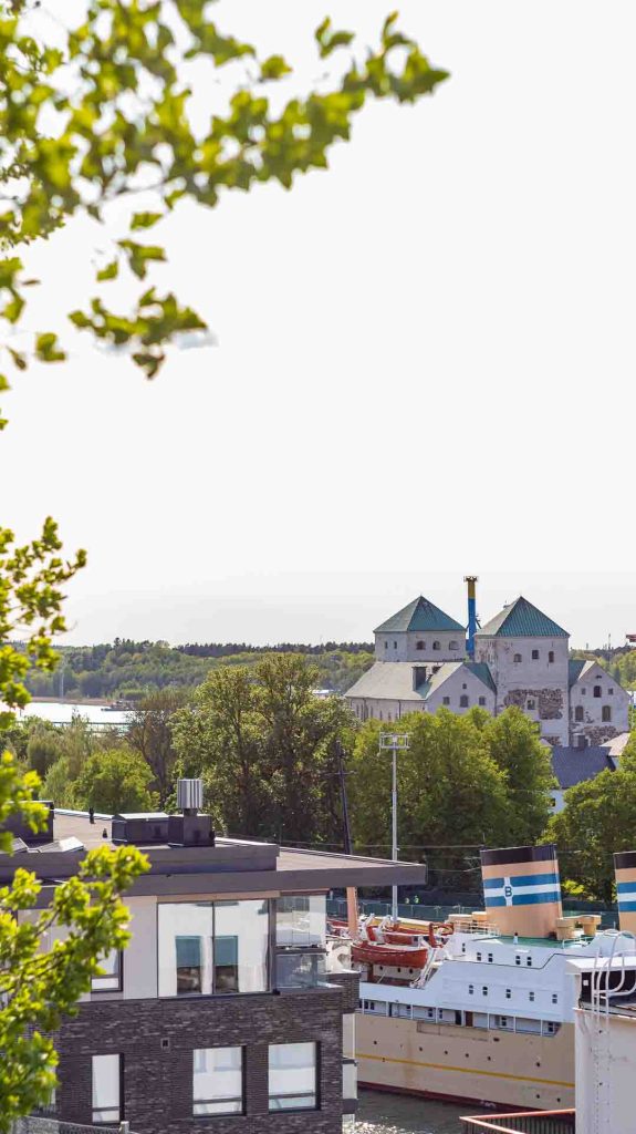 Suuri vanha puu vihreine lehtineen taustalla kaupungin rakennuksia ja jokimaisema.