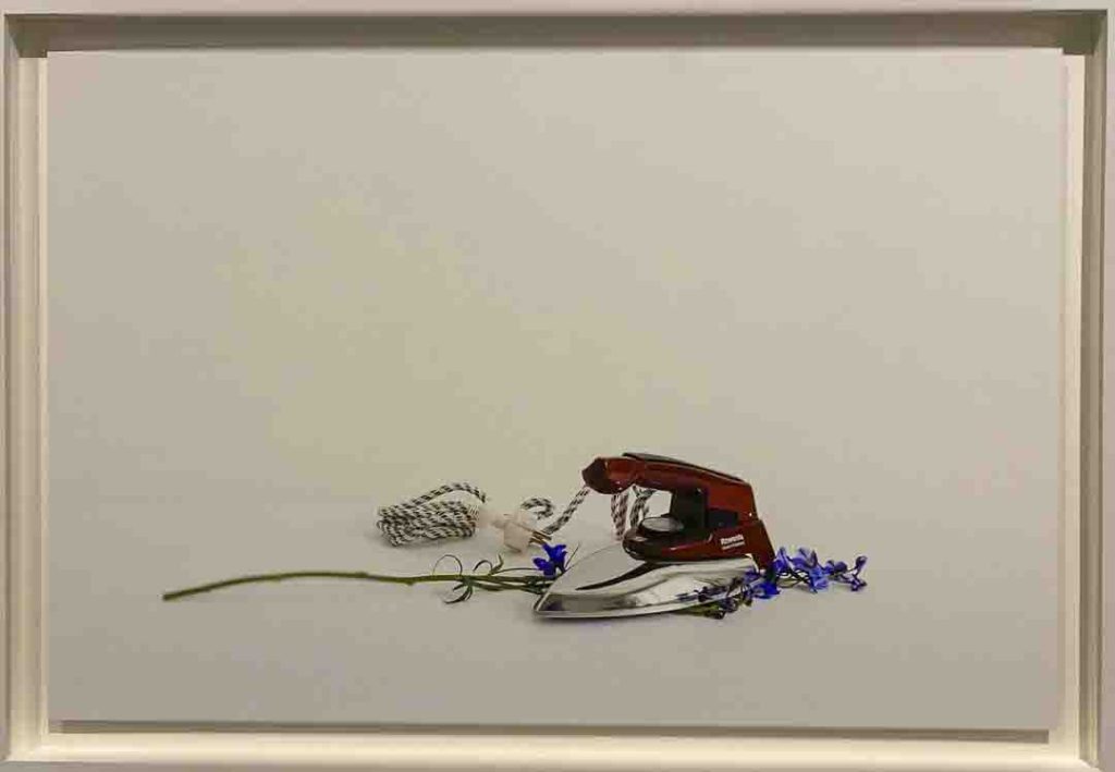 Minimalistinen taidekuva: silitysrauta, narunpätkä ja sinisiä kukkia valkoisessa kehyksessä. I