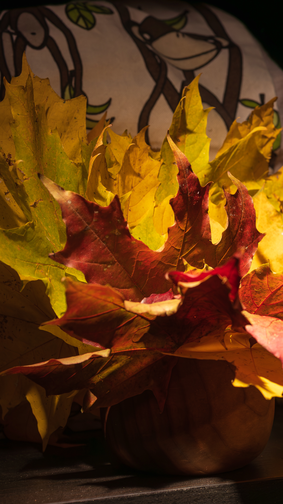 Syksyisiä vaahteranlehtiä puukulhossa kirjahyllyssä, lämmin valo korostaa punaisia ja keltaisia sävyjä.